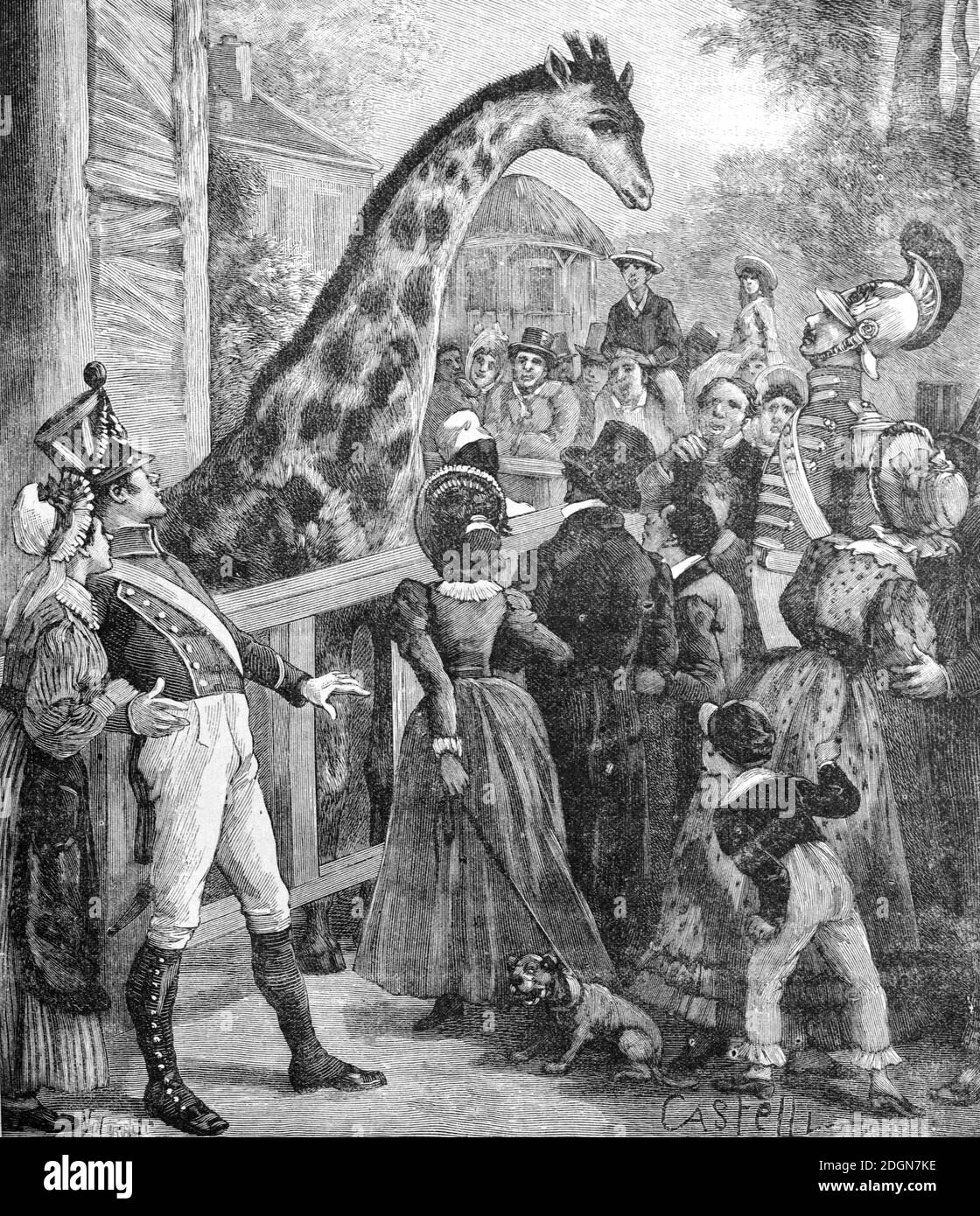 Les visiteurs admirent la première Giraffe à Paris et en Europe Au jardin zoologique d'Acclimatation ou au zoo de Paris à Bois De Boulogne 1827 Paris France (Engr 1895 Castelli) Illustration ancienne ou gravure Banque D'Images
