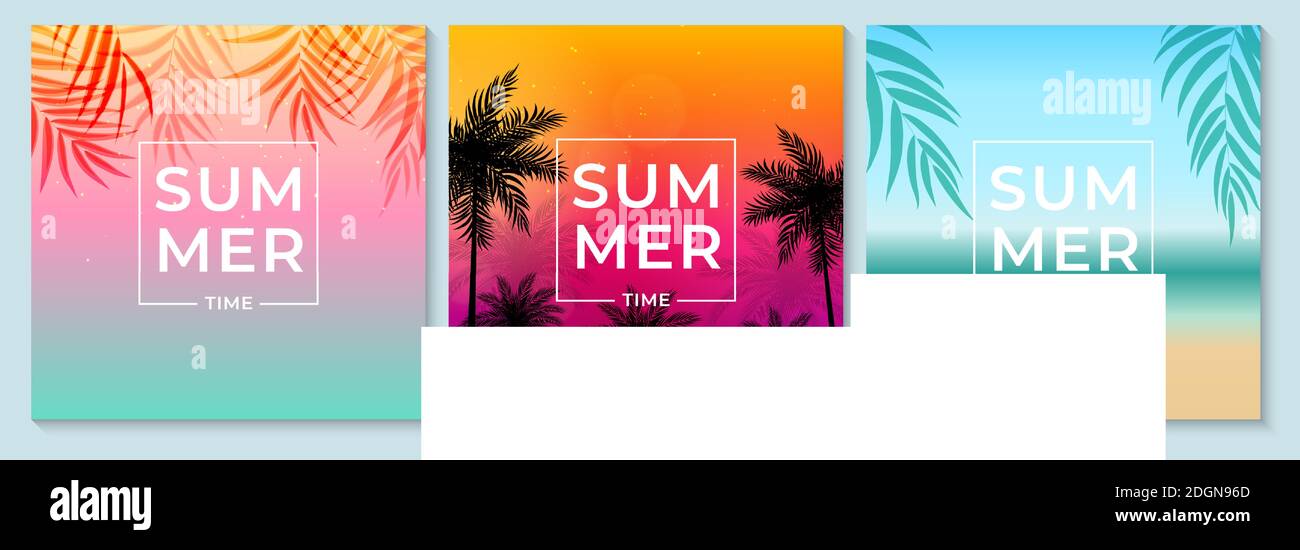 Arrière-plan abstrait d'été avec feuilles de palmier, plage et bord de mer. Design tendance à la vente, médias sociaux, Web. Illustration vectorielle Illustration de Vecteur