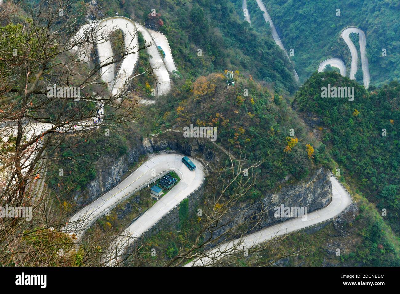 Une vue aérienne de la route sinueuse le long de la montagne et au milieu de la forêt, ville de Zhangjiajie, centre de la Chine¯province de Huanan, 3 novembre 2020. ** Banque D'Images