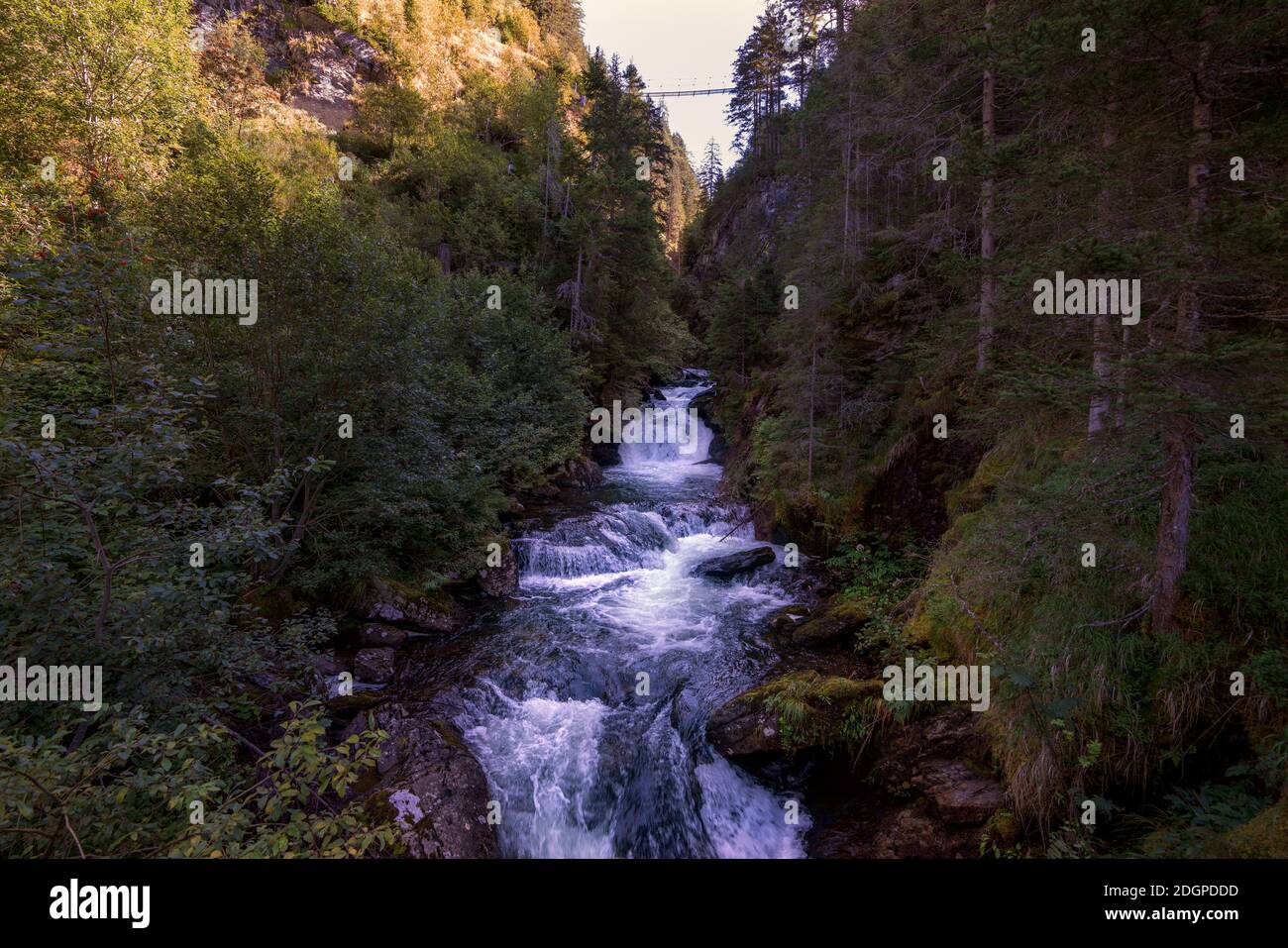 Vue panoramique d'une cascade dans la forêt Banque D'Images