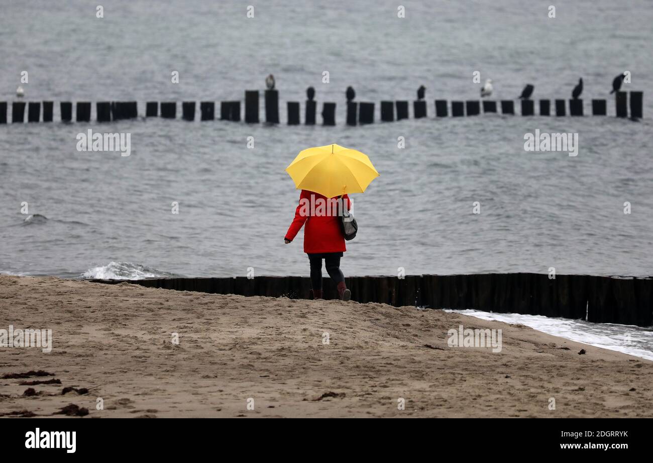 09 décembre 2020, Mecklembourg-Poméranie occidentale, Kühlungsborn: Une femme marche le long de la côte de la mer Baltique avec un parapluie jaune. Le temps gris pluvieux domine dans le nord. Photo: Bernd Wüstneck/dpa-Zentralbild/dpa Banque D'Images