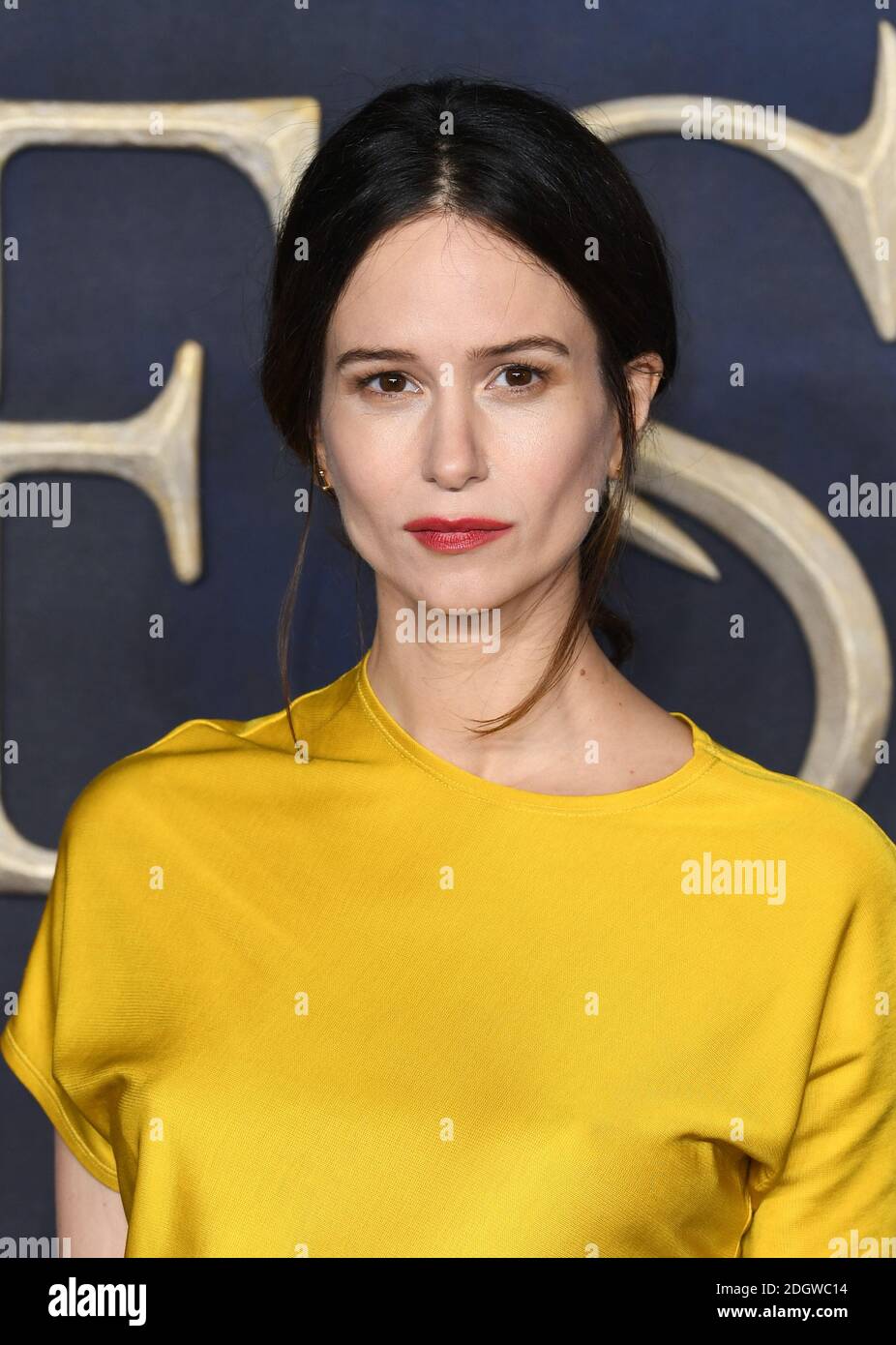 Katherine Waterston assiste aux fantastiques bêtes: The crimes of Grindelwald UK première tenue à Leicester Square, Londres. Le crédit photo devrait se lire comme suit : Doug Peters/EMPICS Banque D'Images
