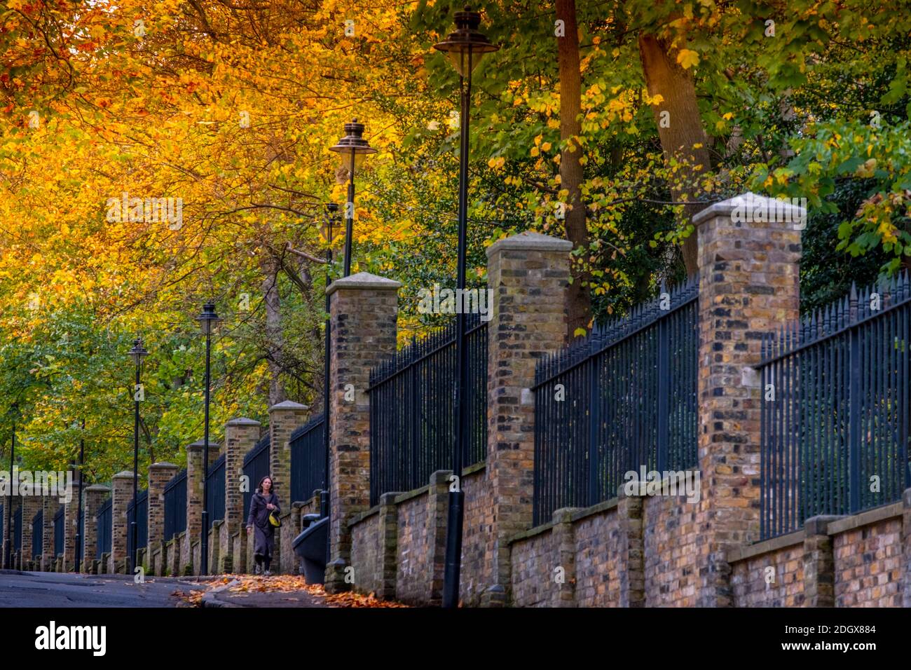 Londres, Highgate. Une femme marchant le long d'un trottoir à Highgate, à côté du cimetière de Highgate, couleurs d'automne, arbres Banque D'Images