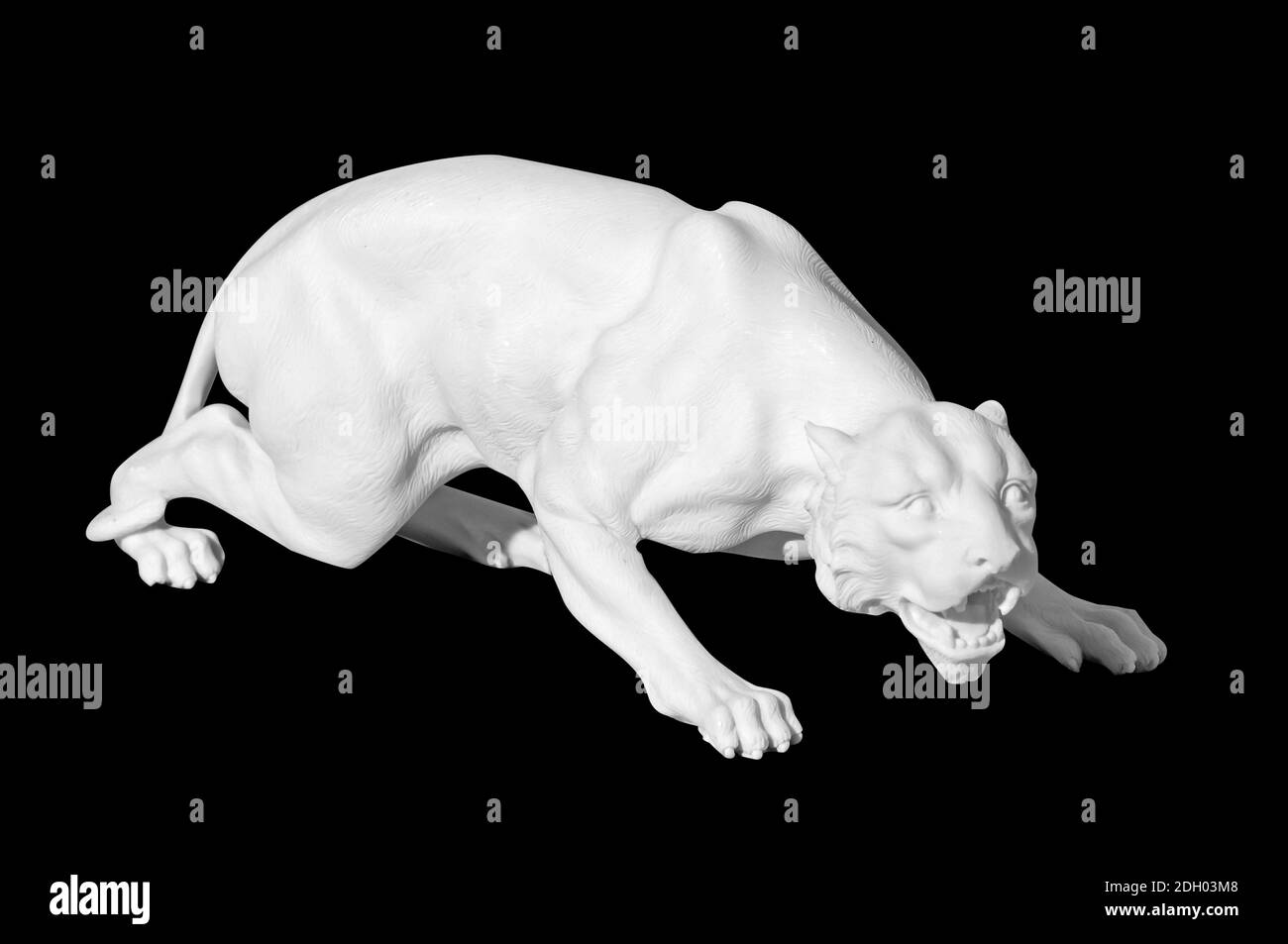 Statue d'un chat sauvage sur fond noir Banque D'Images