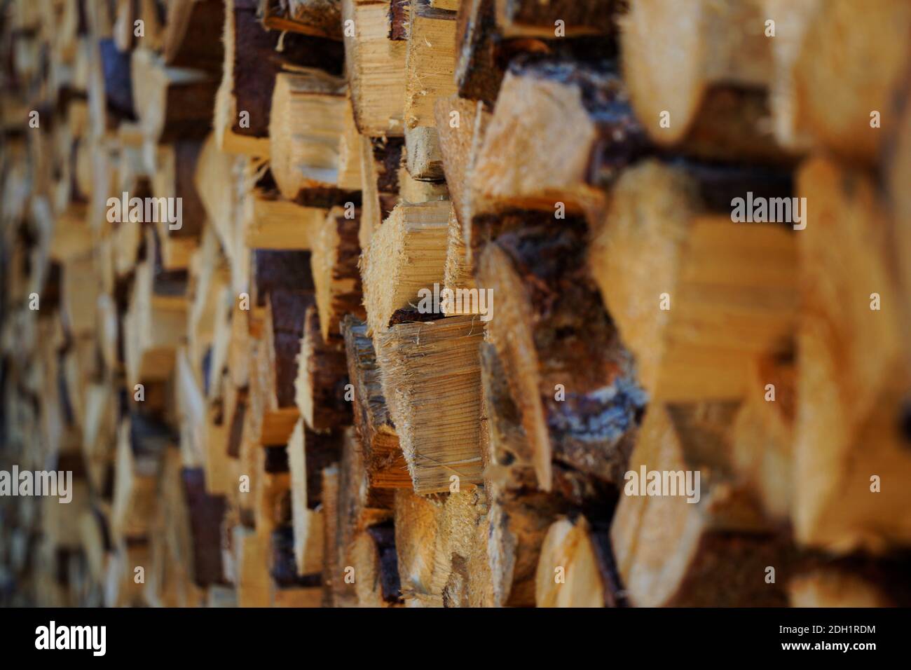 Vue en gros plan sur le bois haché dans un hangar à bois Banque D'Images