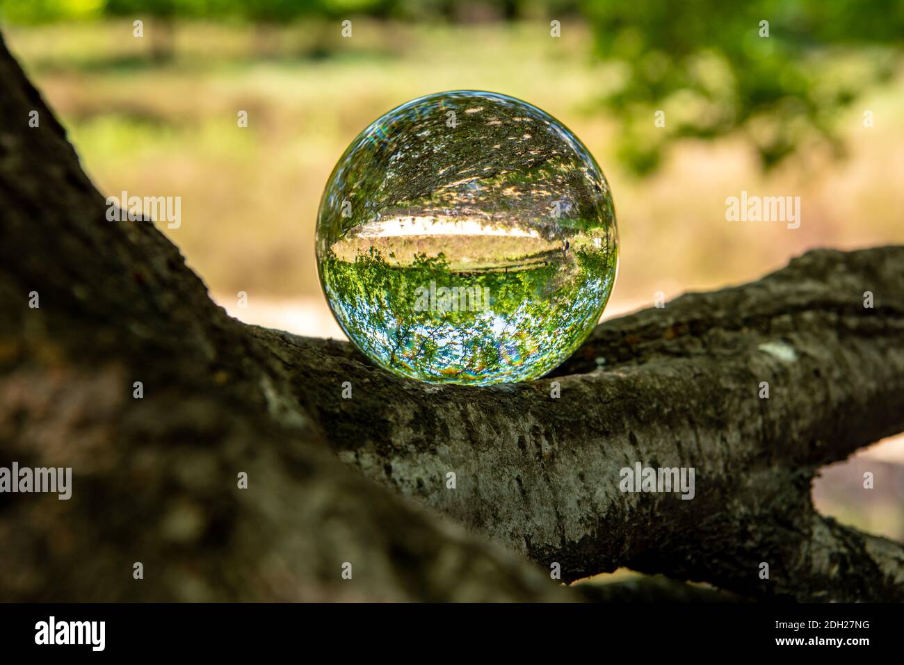 Photographie de boules de verre Banque D'Images