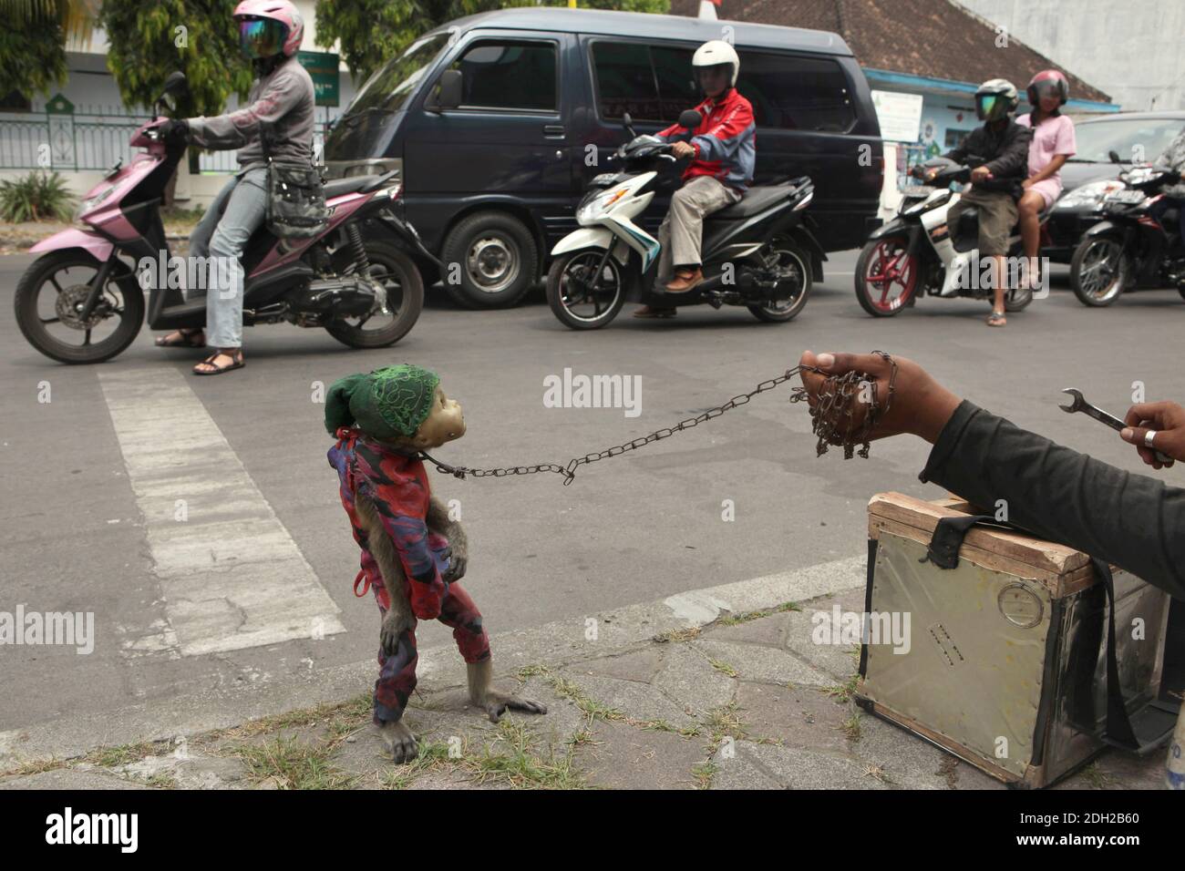 Un macaque formé appelé Undun portant un masque d'une tête de poupée cassée et son propriétaire Latif de 17 ans se produit sur leur lieu de travail, sur un carrefour très fréquenté à Surakarta, dans le centre de Java, en Indonésie. Les spectacles de rue avec des singes sauvages connus sous le nom de Topeng Monyet ('singe demandé' ou 'singe dansant') sont encore très populaires en Indonésie, malgré les protestations des militants des droits des animaux. Les macaques à queue longue (Macaca fascicularis) sont habituellement utilisées pour cette pratique cruelle. Banque D'Images
