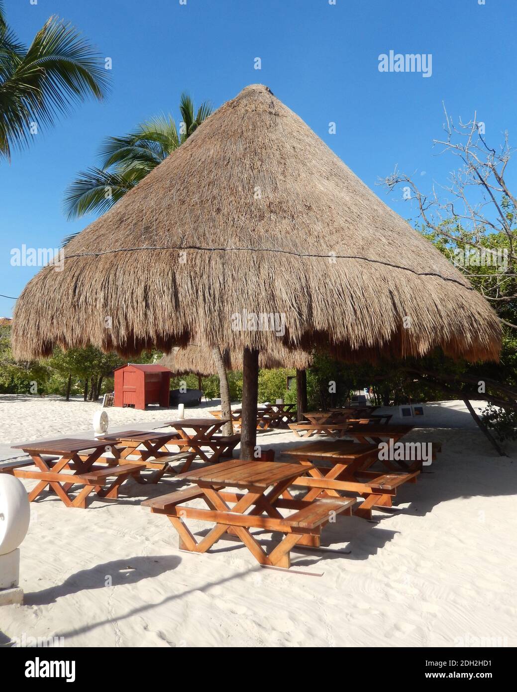Salle à manger extérieure avec parasol en paille à la façade de palmier,  banc en bois et chaises sur une plage des Caraïbes sur la Riviera Maya, à  Cancun, Mexique, pour le