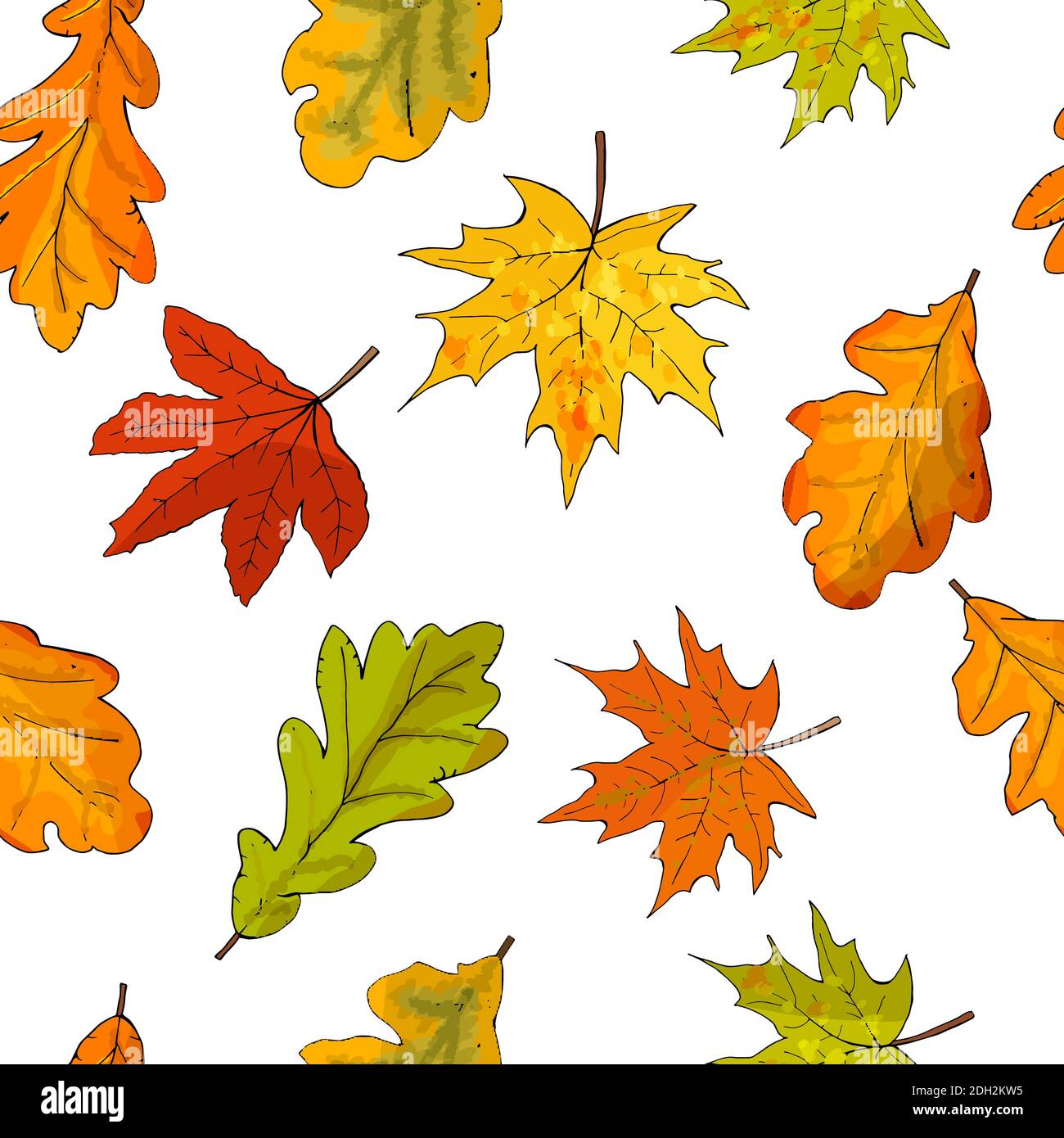 Motif sans couture avec feuilles d'érable d'automne izolate sur blanc. Illustration vectorielle. Illustration de Vecteur