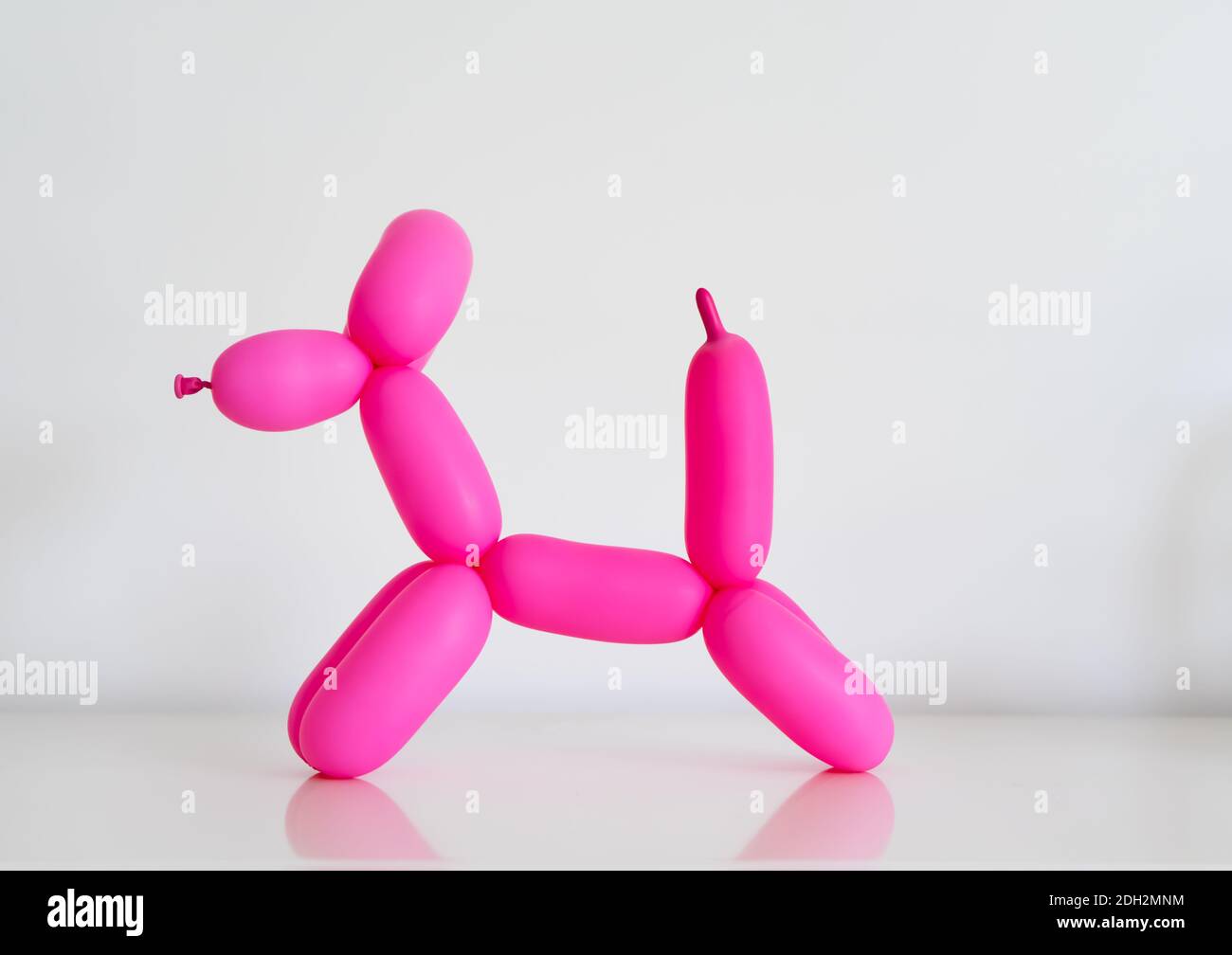 chien en montgolfière rose sur fond blanc, composition minimale Banque D'Images