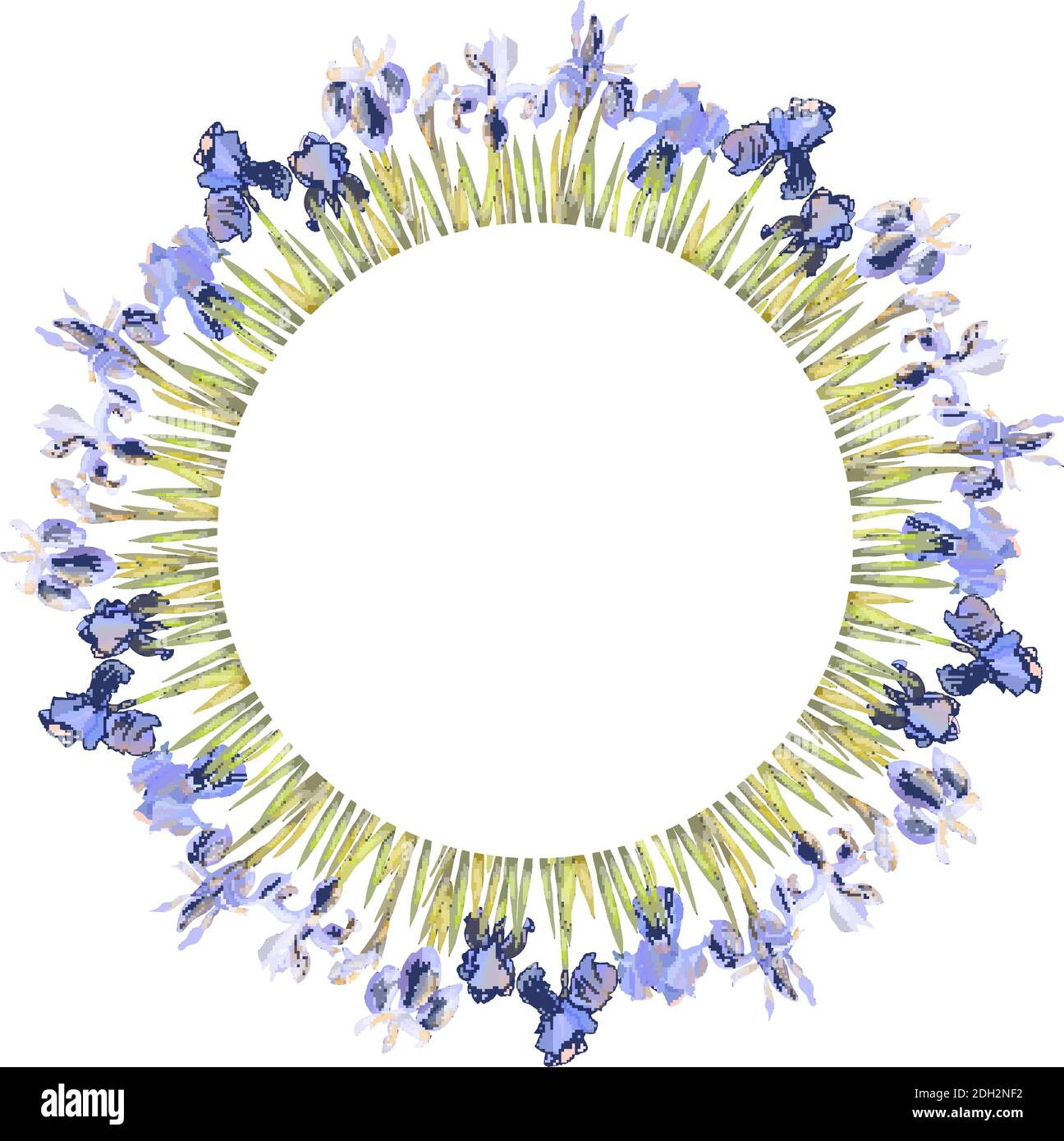 Modèle floral avec iris isolat sur blanc. Pour des boîtes-cadeaux de conception, des annonces, des cartes postales, des affiches, des invitations Illustration de Vecteur