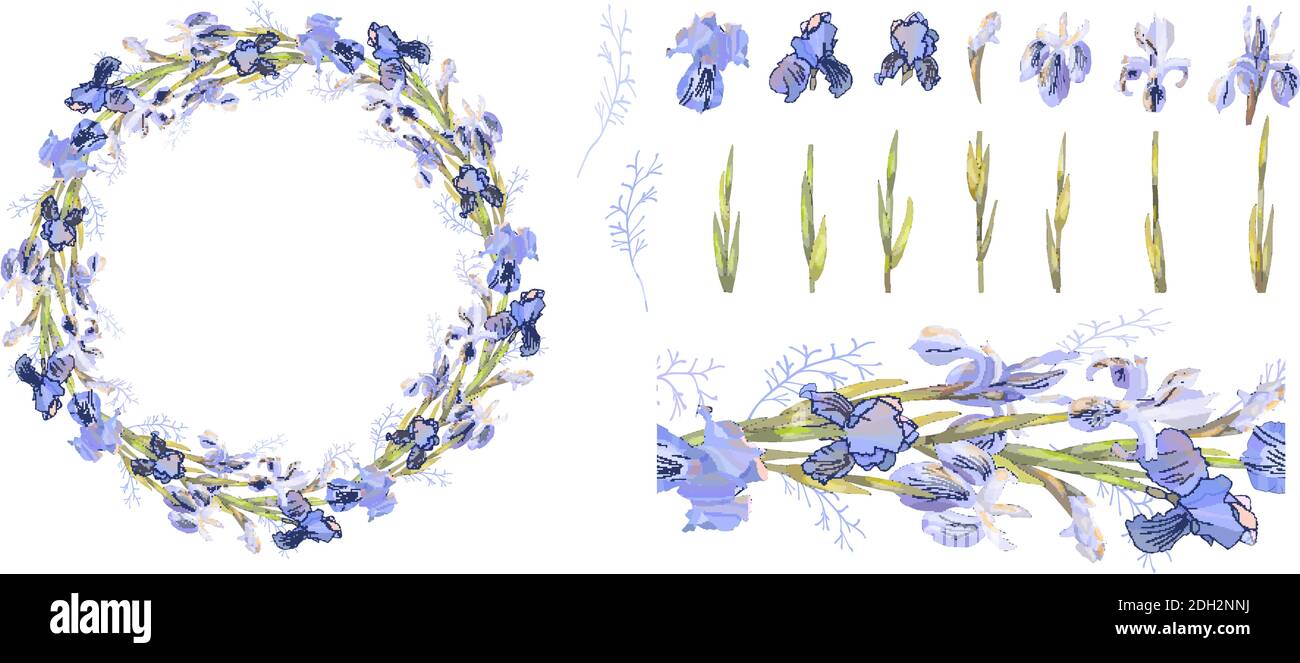 Ensemble de modèles floraux, de motifs sans couture et d'iris isolés sur du blanc. Pour des boîtes-cadeaux de conception, des annonces, des cartes postales, des affiches, des invitations Illustration de Vecteur