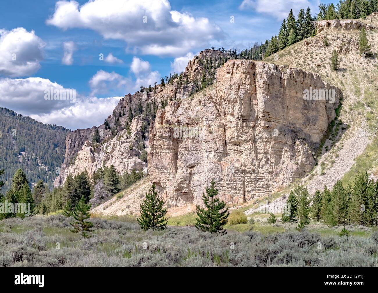 Parc national de Yellowstone dans le wyoming Banque D'Images