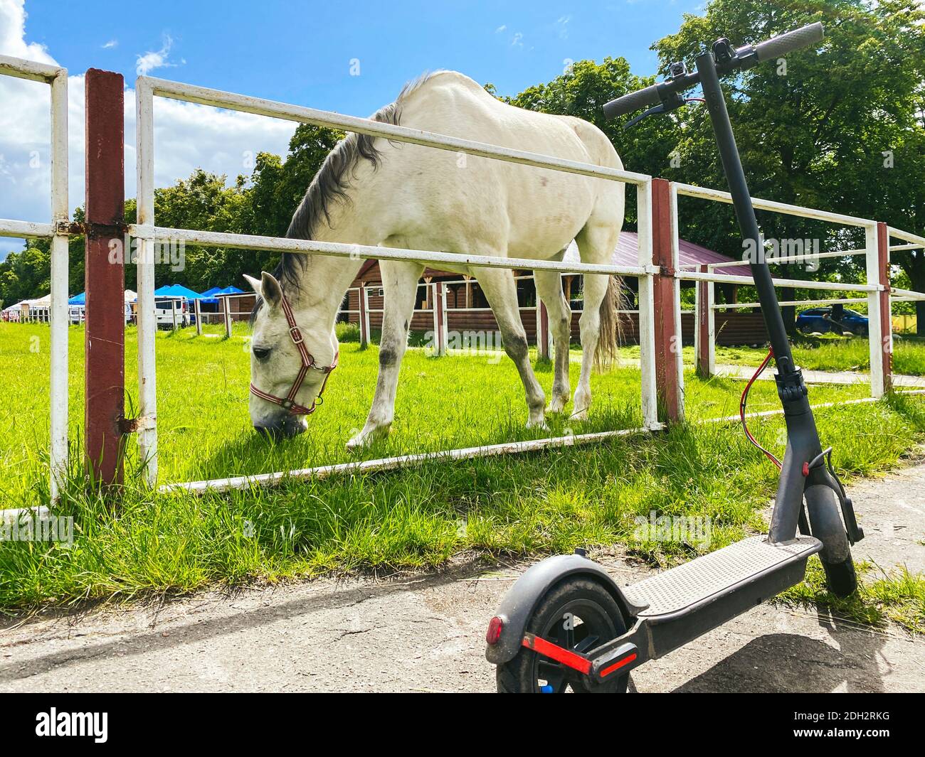 Thème transport écologique. Scooter électrique à côté de beau cheval. Sans transport d'essence. Transport en direct r Banque D'Images