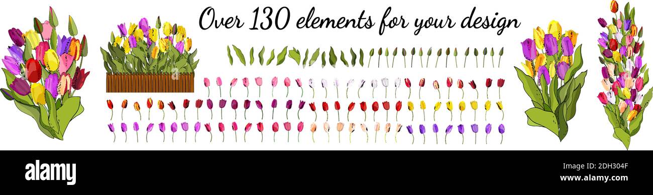 Cadre fleuri en tulipes mignons et colorées. Illustration de Vecteur