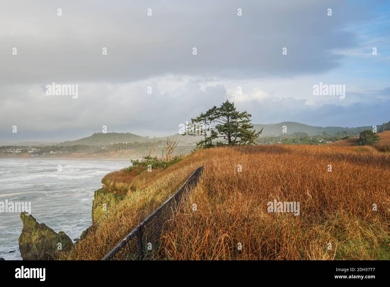Fait partie du paysage de la côte de l'Oregon Banque D'Images
