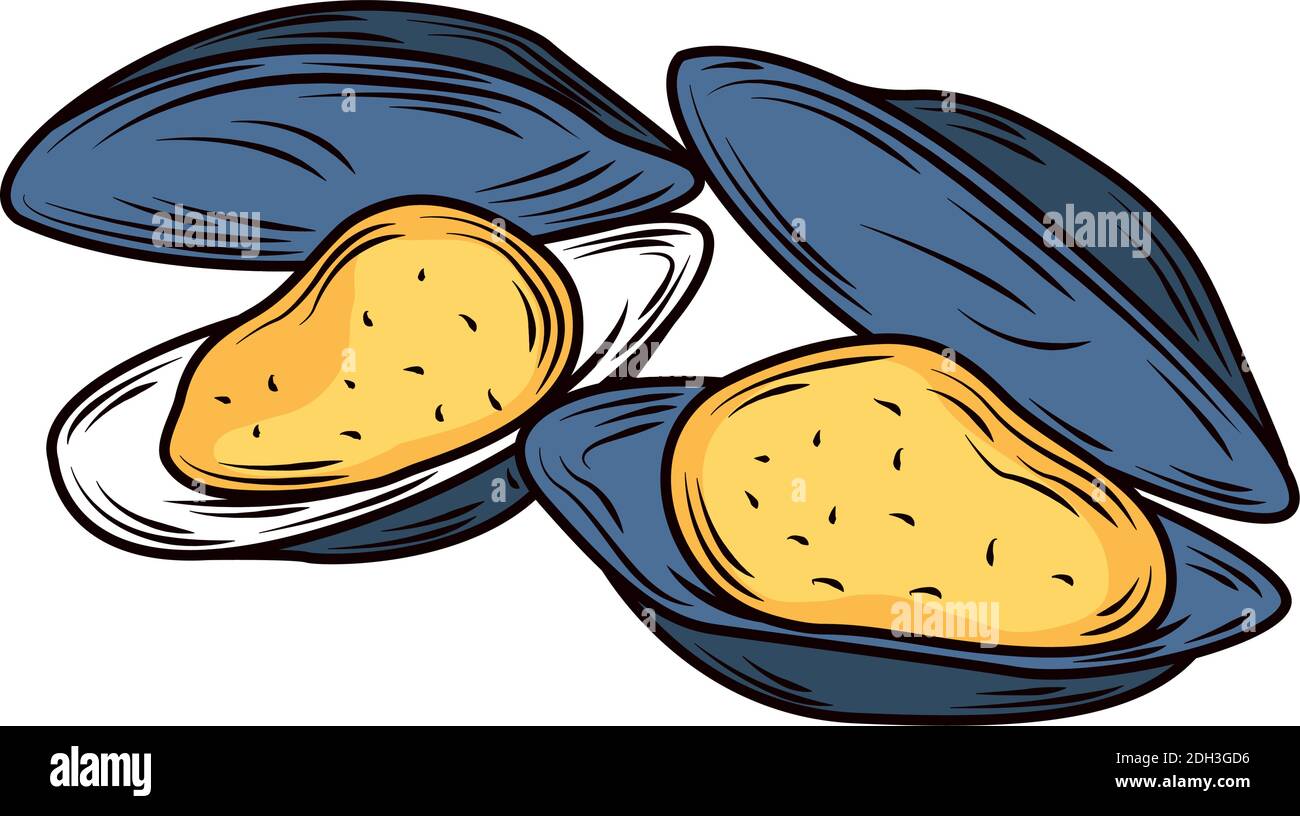 fruits de mer clams menu gourmet fresh icône isolé image vecteur illustration Illustration de Vecteur