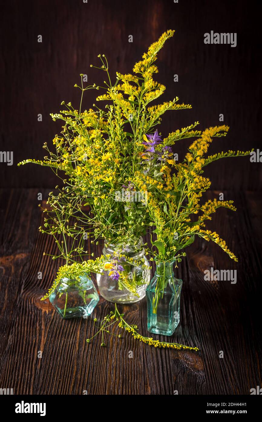 Fleurs sauvages dans un bouquet Banque D'Images
