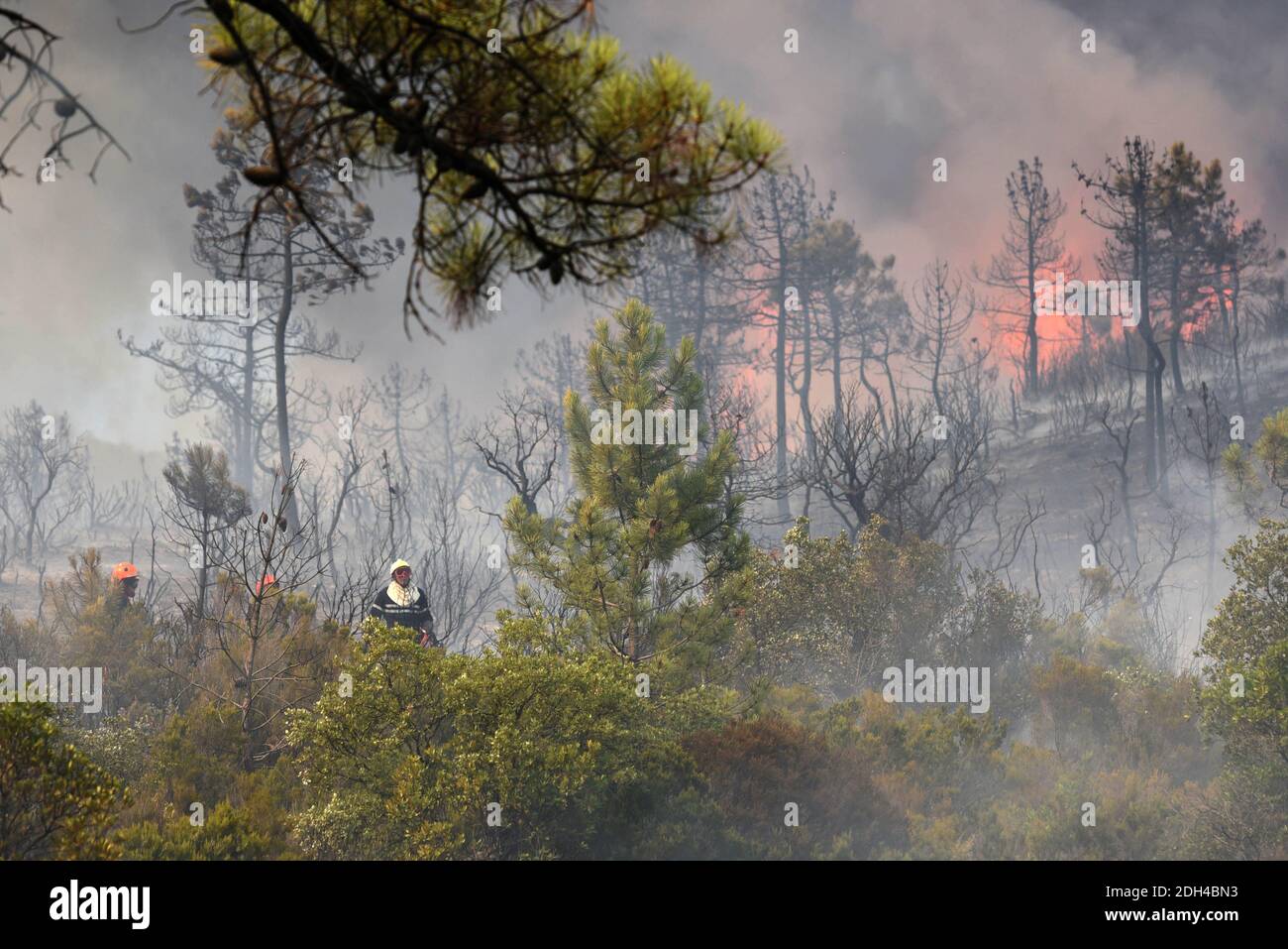 Les pompiers tentent d'éteindre un incendie à Bormes-les-Mimosas, dans le sud-est de la France, le 26 juillet 2017. Au moins 10,000 personnes, dont des milliers de vacanciers, ont été évacuées la nuit après l'explosion d'un nouveau feu de forêt dans le sud de la France, qui affrontait déjà des blazettes massives, ont déclaré les autorités le 26 juillet. Photo par ABACAPRESS.COM Banque D'Images