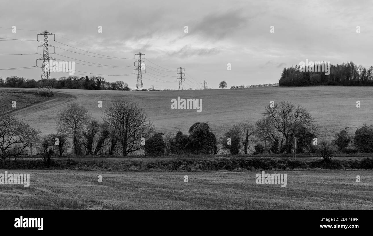 Image monochrome noir et blanc d'une rangée d'arbres et haies à travers les champs verts en hiver avec des pylônes d'électricité dedans arrière-plan Banque D'Images