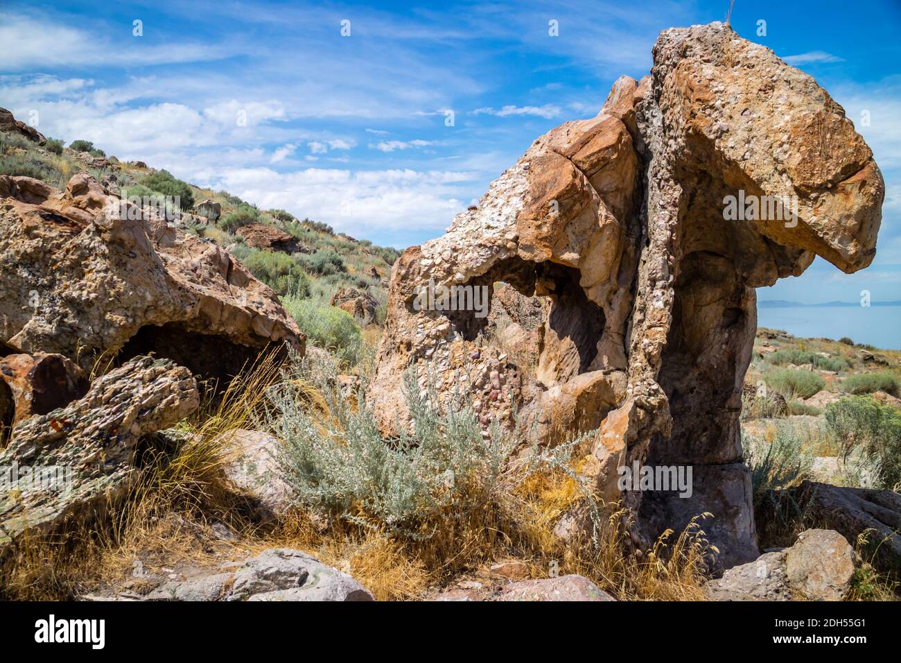 Vue sur la nature dans le parc national d'Antelope Island, Utah Banque D'Images