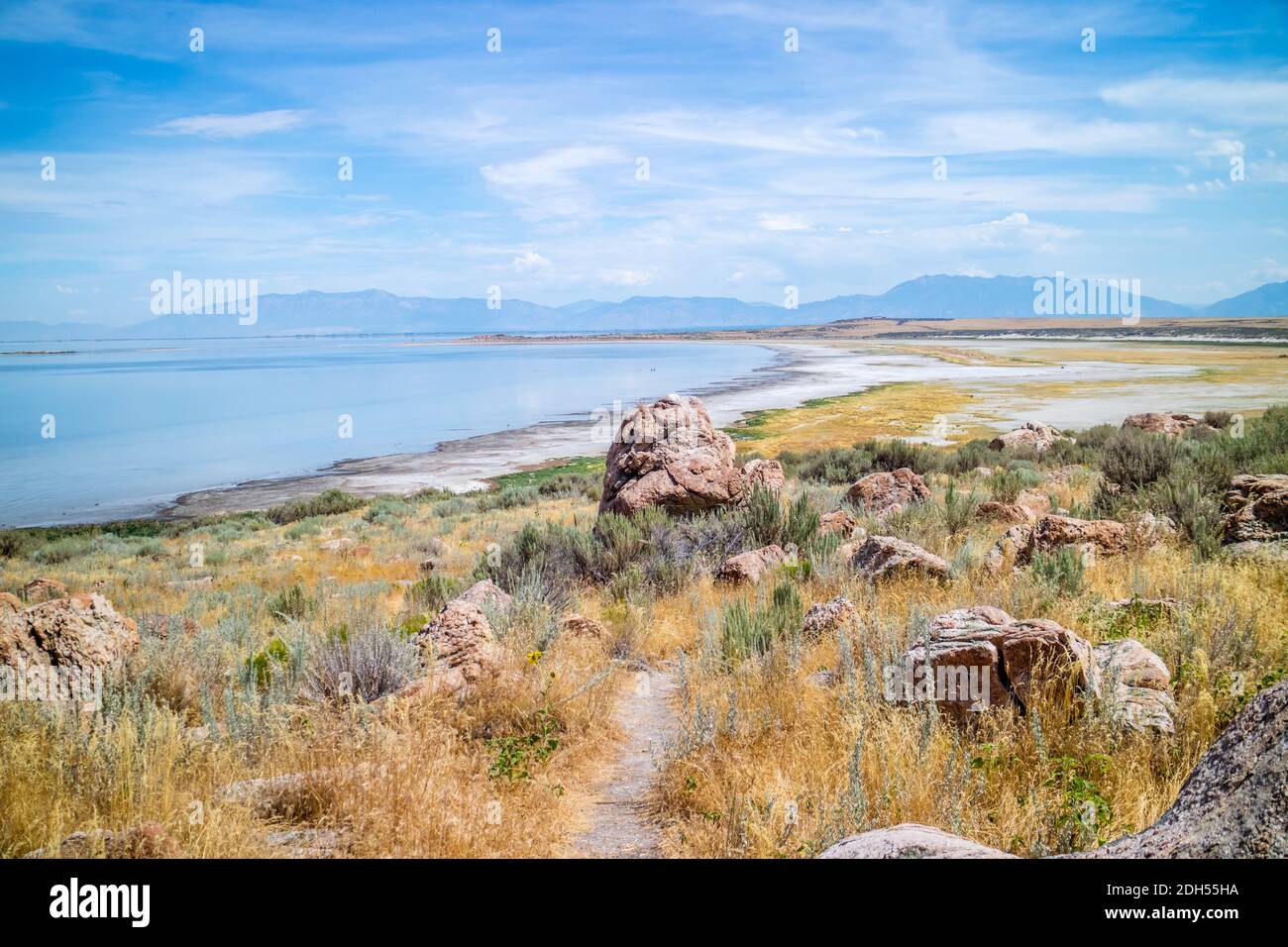 Vue sur la nature dans le parc national d'Antelope Island, Utah Banque D'Images