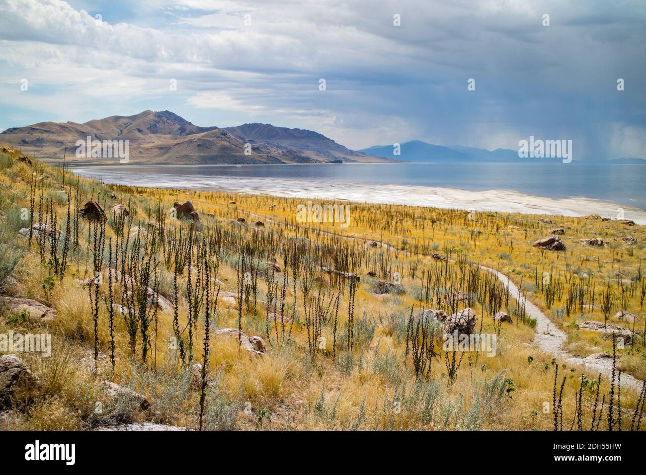 Vue sur la nature dans le parc national d'Antelope Island, Utah Banque D'Images