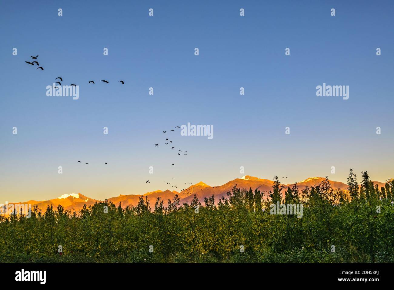 Paysage de montagnes, province de San Juan, Argentine Banque D'Images