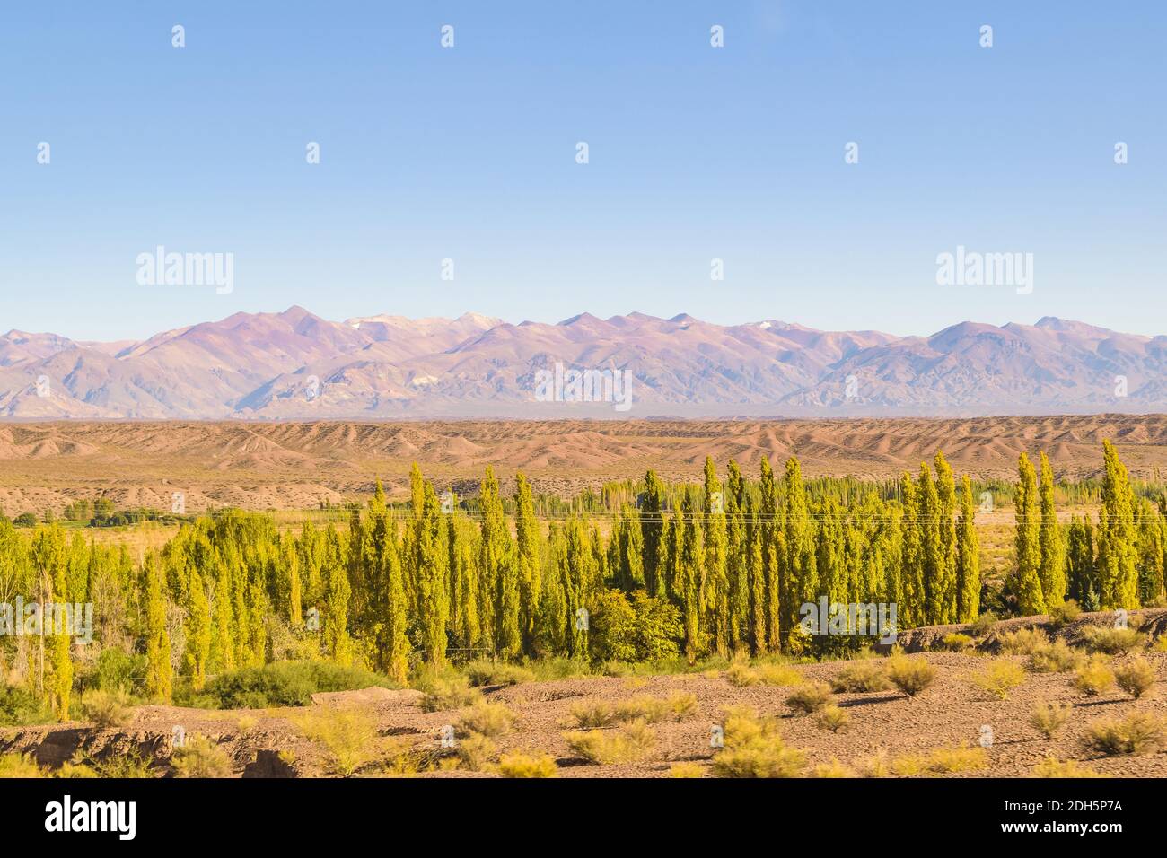 Paysage, province de San Juan, Argentine Banque D'Images