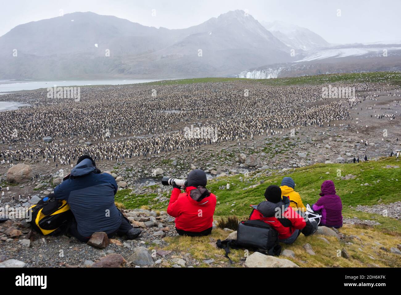 Touristes photographiant la colonie de pingouins du roi, St. Andrews Bay, Géorgie du Sud, Antarctique Banque D'Images