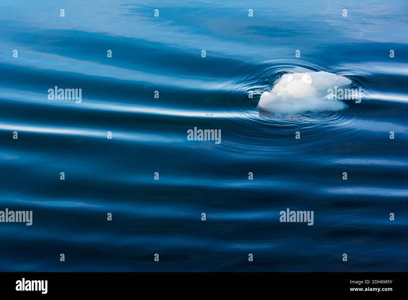 Glace flottante avec ondulation de l'eau dans l'océan Atlantique Sud, Antarctique Banque D'Images
