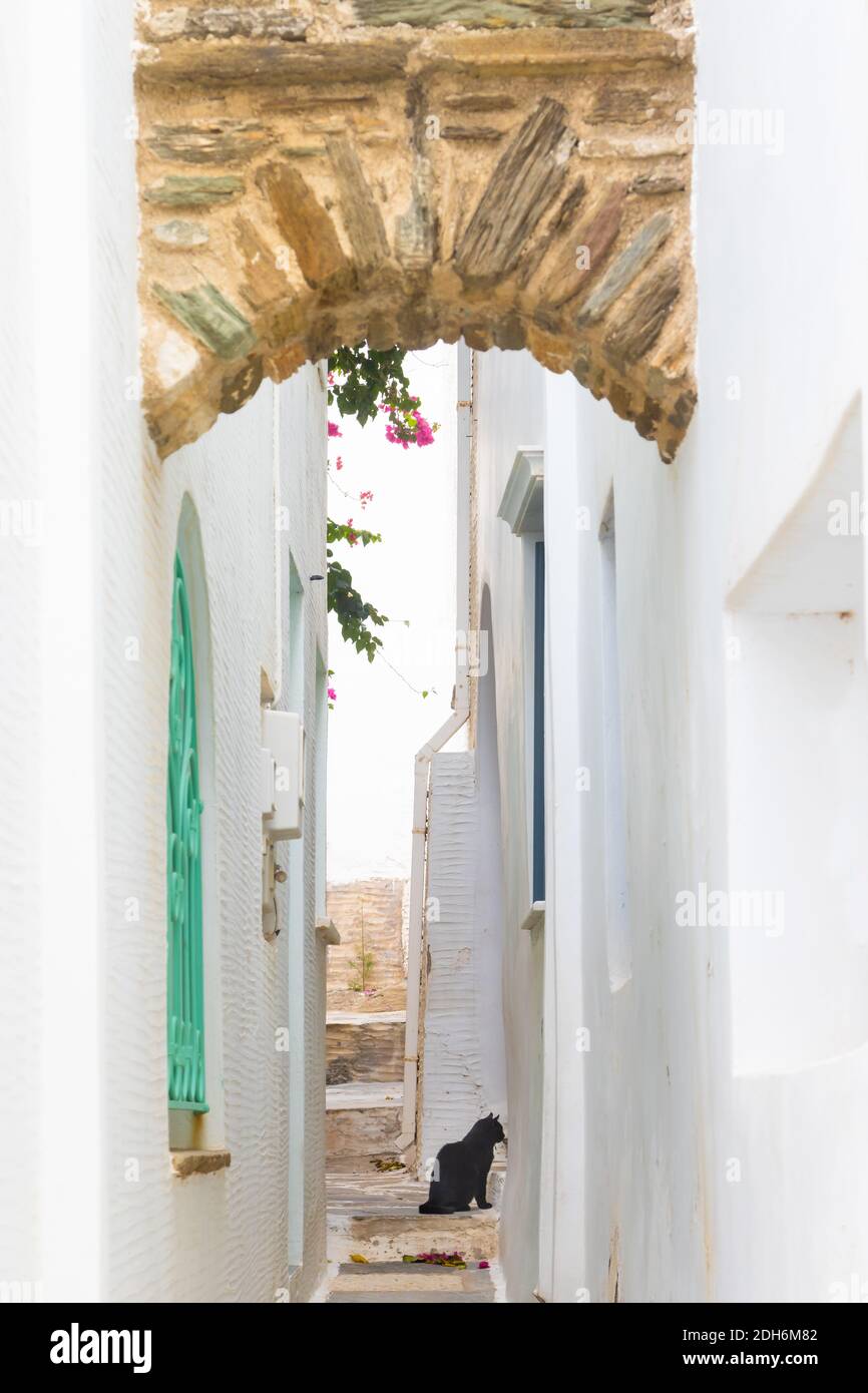 Chat noir dans une ruelle étroite entre les maisons en marbre dedans Pirgos sur l'île grecque des Cyclades de Tinos Banque D'Images