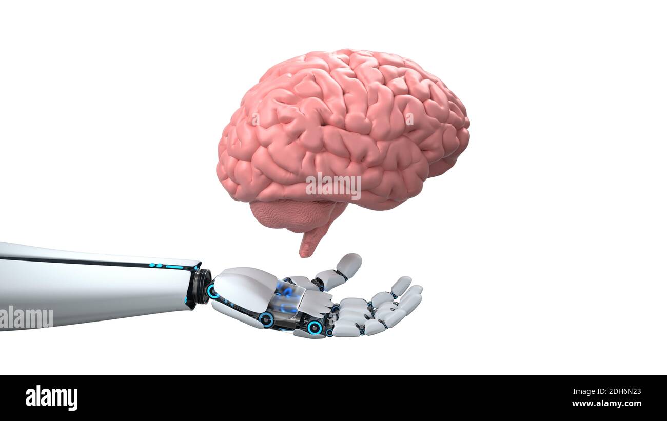 Main de robot humanoïde cerveau humain Banque D'Images