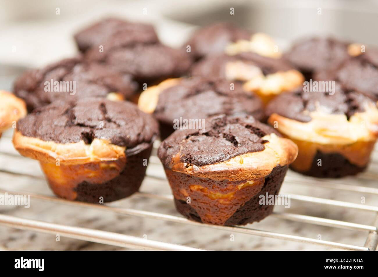 Gateau Au Fromage Maison Dans Des Petits Gateaux Au Chocolat Frais De Pour Le Four Photo Stock Alamy Gateau Au Fromage Maison Dans Des Petits Gateaux Au Chocolat Frais De Pour Le Four Photo Stock Alamy