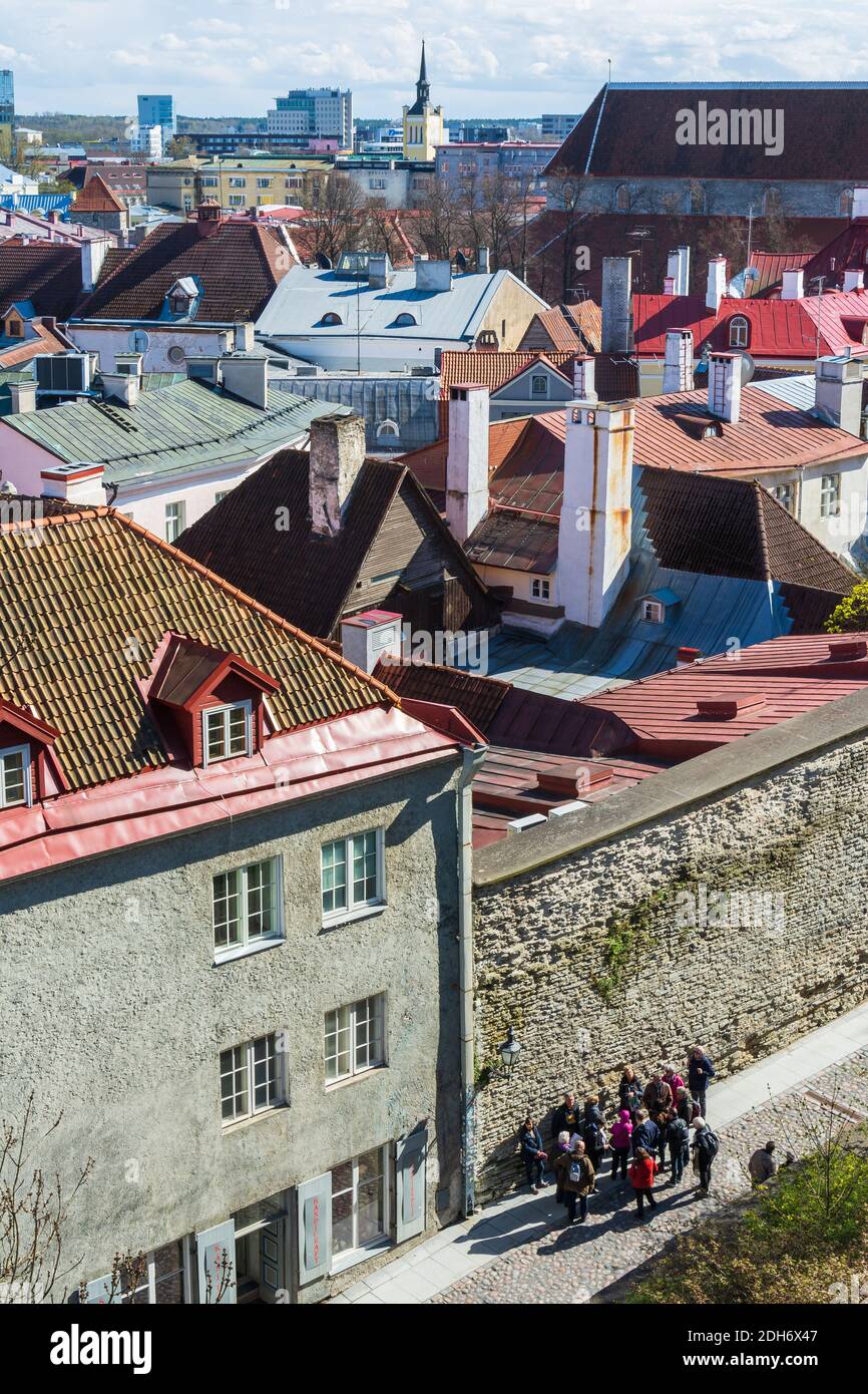 Pikk jalg (jambe longue) toits de rue et de la vieille ville de Tallinn, Estonie Banque D'Images