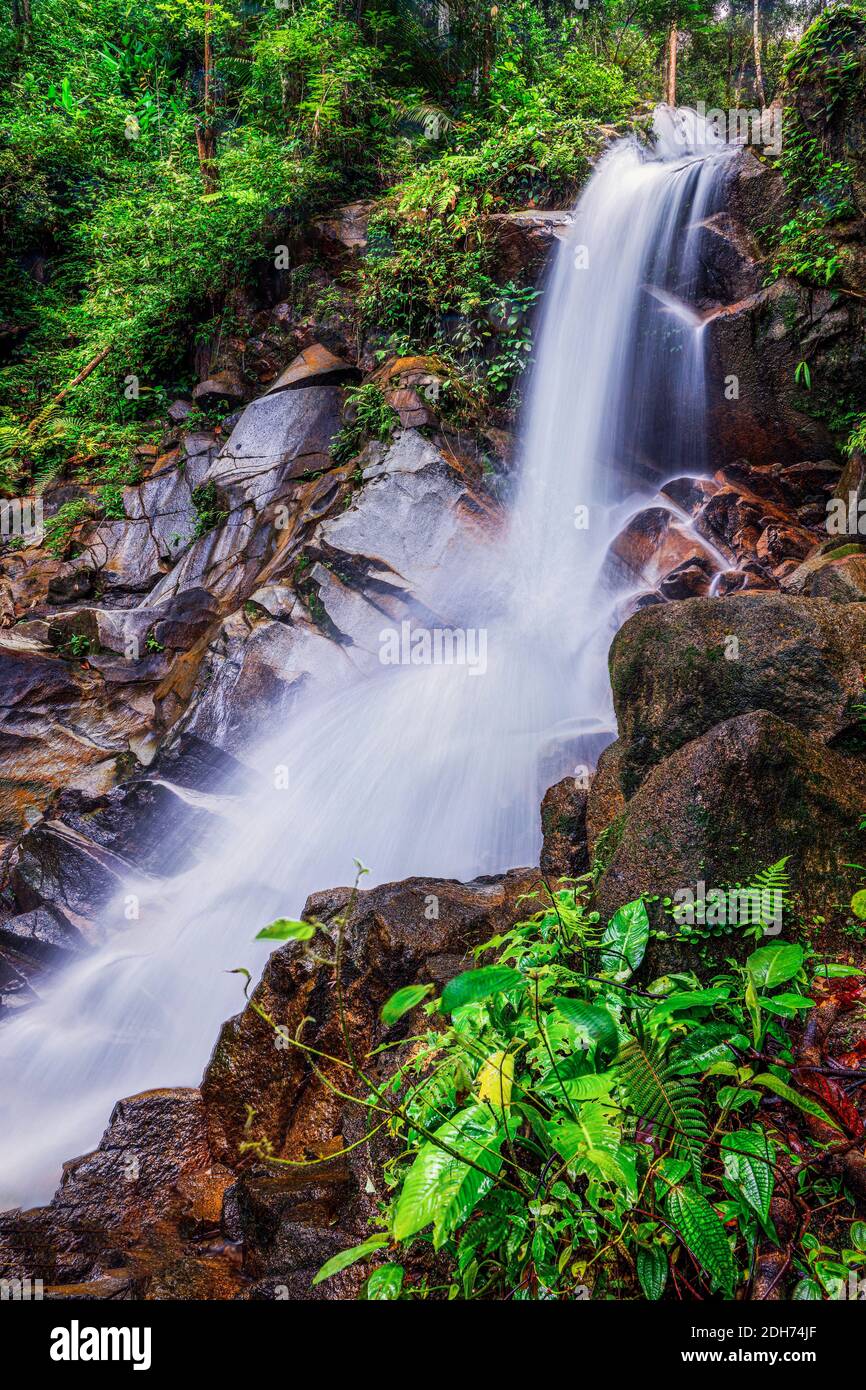 Les cascades de Jeram toi, Malaisie. Banque D'Images
