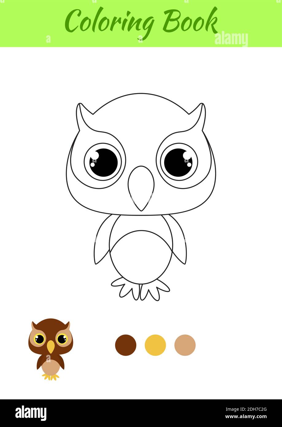 livre de coloriage petit hibou bebe page pour enfants activite educative les d age prescolaire et tout petits avec un animal mignon image vectorielle stock alamy arc-en-ciel japonais