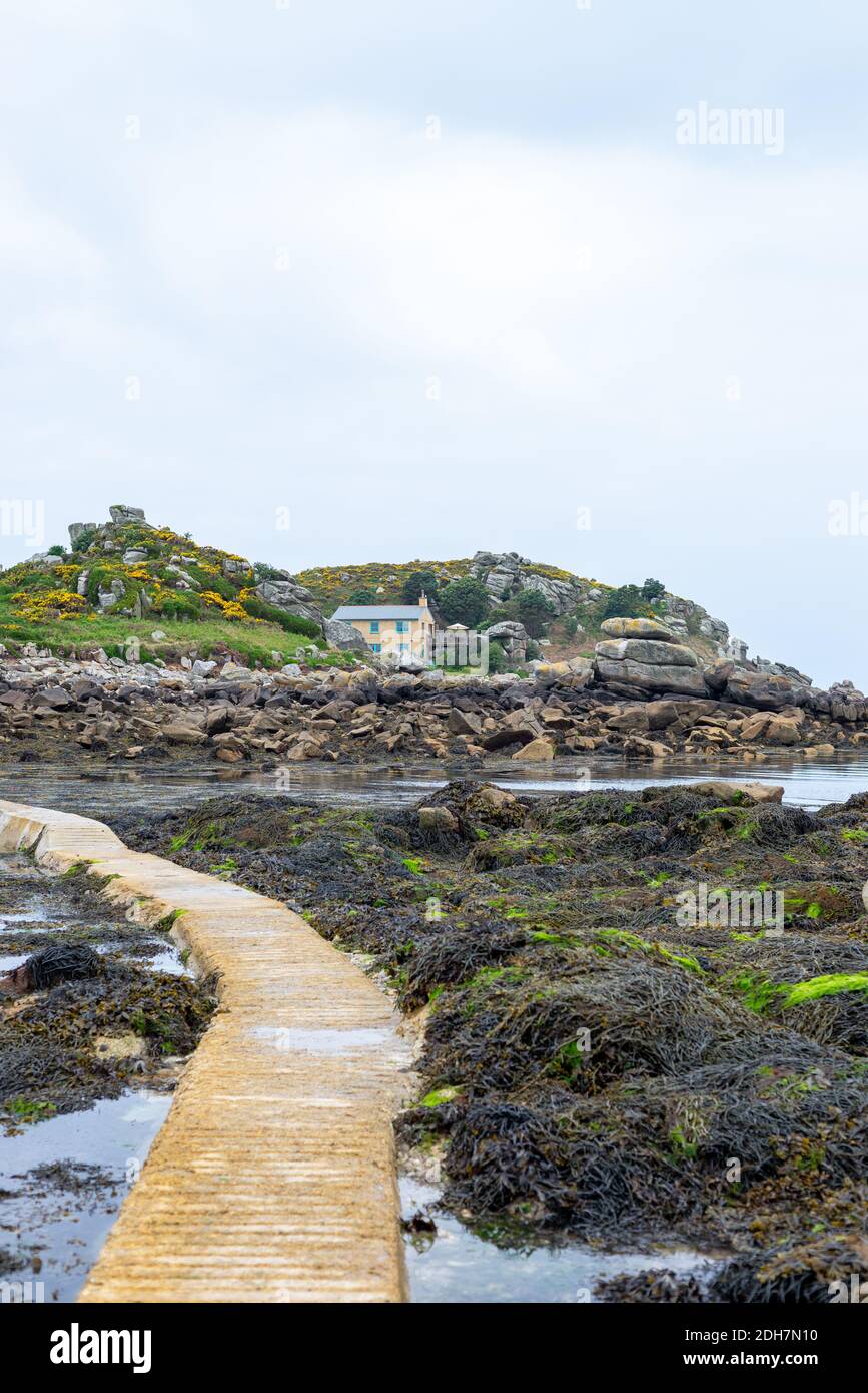 Old Grimsby, île de Tresco, îles Scilly/Scilies, Cornouailles, Angleterre, Royaume-Uni Banque D'Images