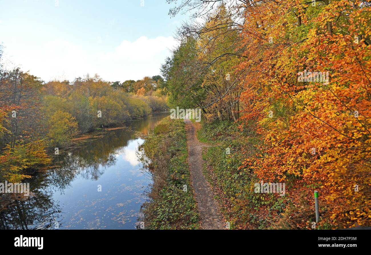Photos pour une caractéristique sur Wellesley Woodland, Aldershot - automne Weekend Walks caractéristique. Canal de Basingstoke. Banque D'Images