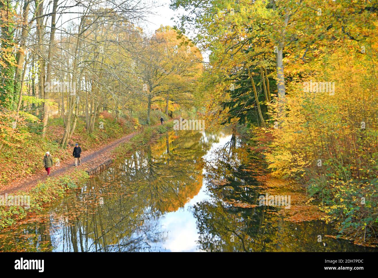 Photos pour une caractéristique sur Wellesley Woodland, Aldershot - automne Weekend Walks caractéristique. Canal de Basingstoke. Banque D'Images