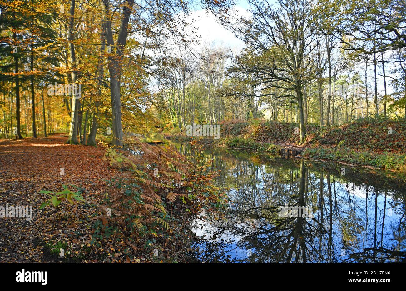 Photos pour une caractéristique sur Wellesley Woodland, Aldershot - automne Weekend Walks caractéristique. Canal de Basingstoke. Banque D'Images
