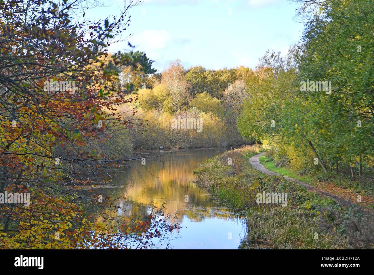 Photos pour une caractéristique sur Wellesley Woodland, Aldershot - automne Weekend Walks caractéristique. Canal de Basingstoke. Banque D'Images