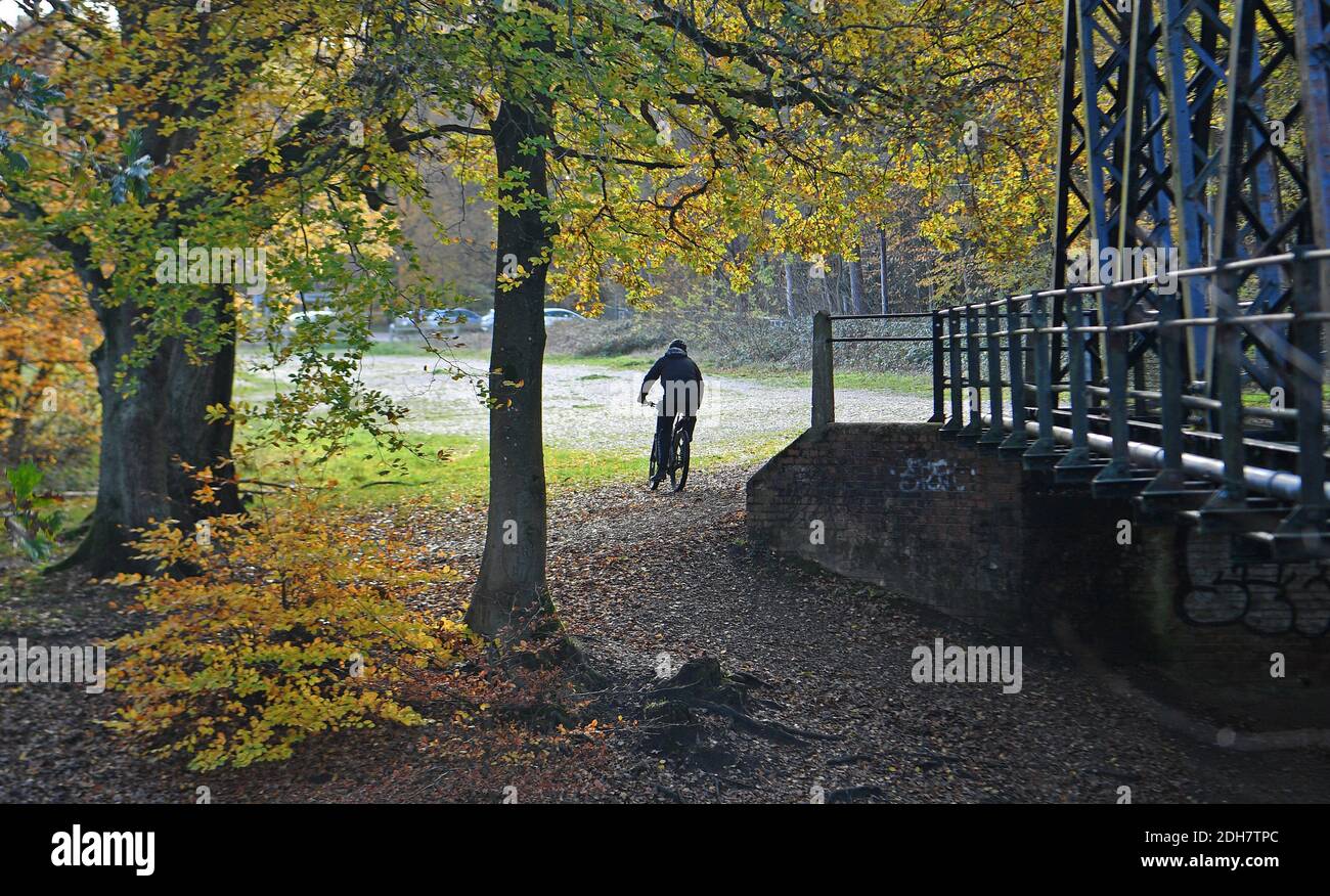 Photos pour une caractéristique sur Wellesley Woodland, Aldershot - automne Weekend Walks caractéristique. Pont sur le canal de Basingstoke. Banque D'Images
