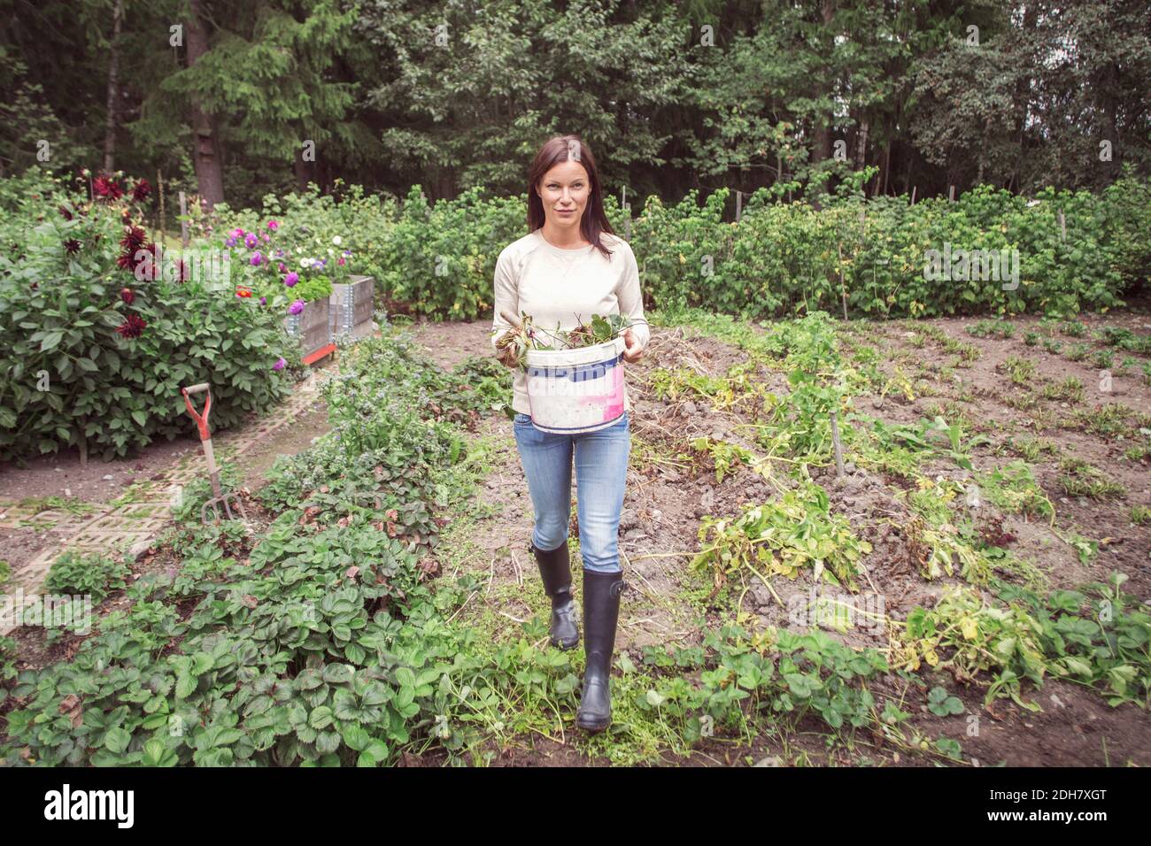 Pleine longueur de femme transportant le seau tout en marchant sur bio ferme Banque D'Images