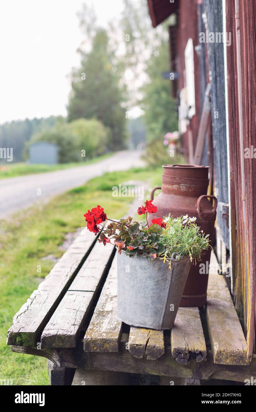 Pots de fleurs et contenants