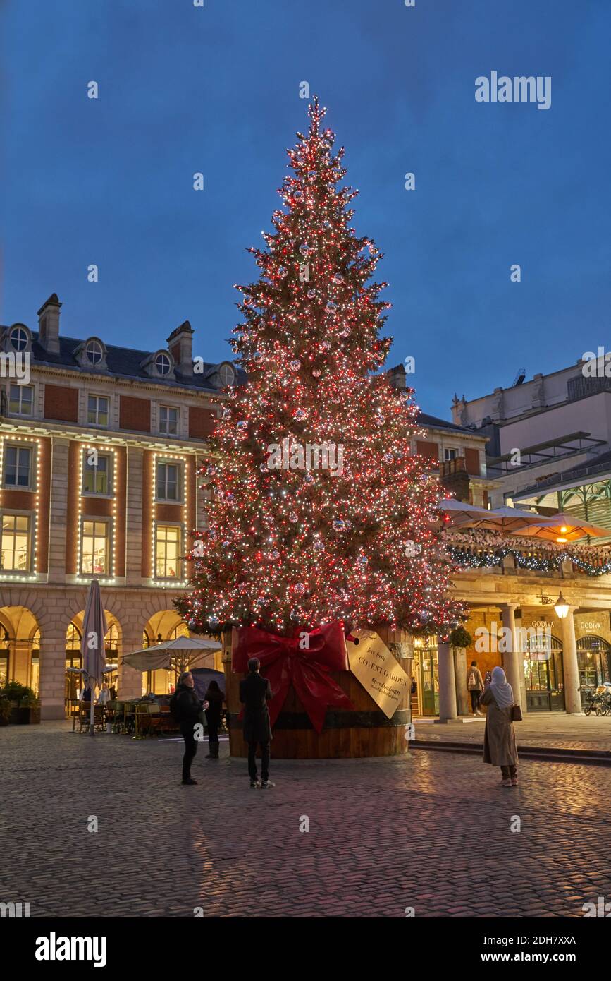 Noël à Londres Covent Garden arbre de Noël Banque D'Images