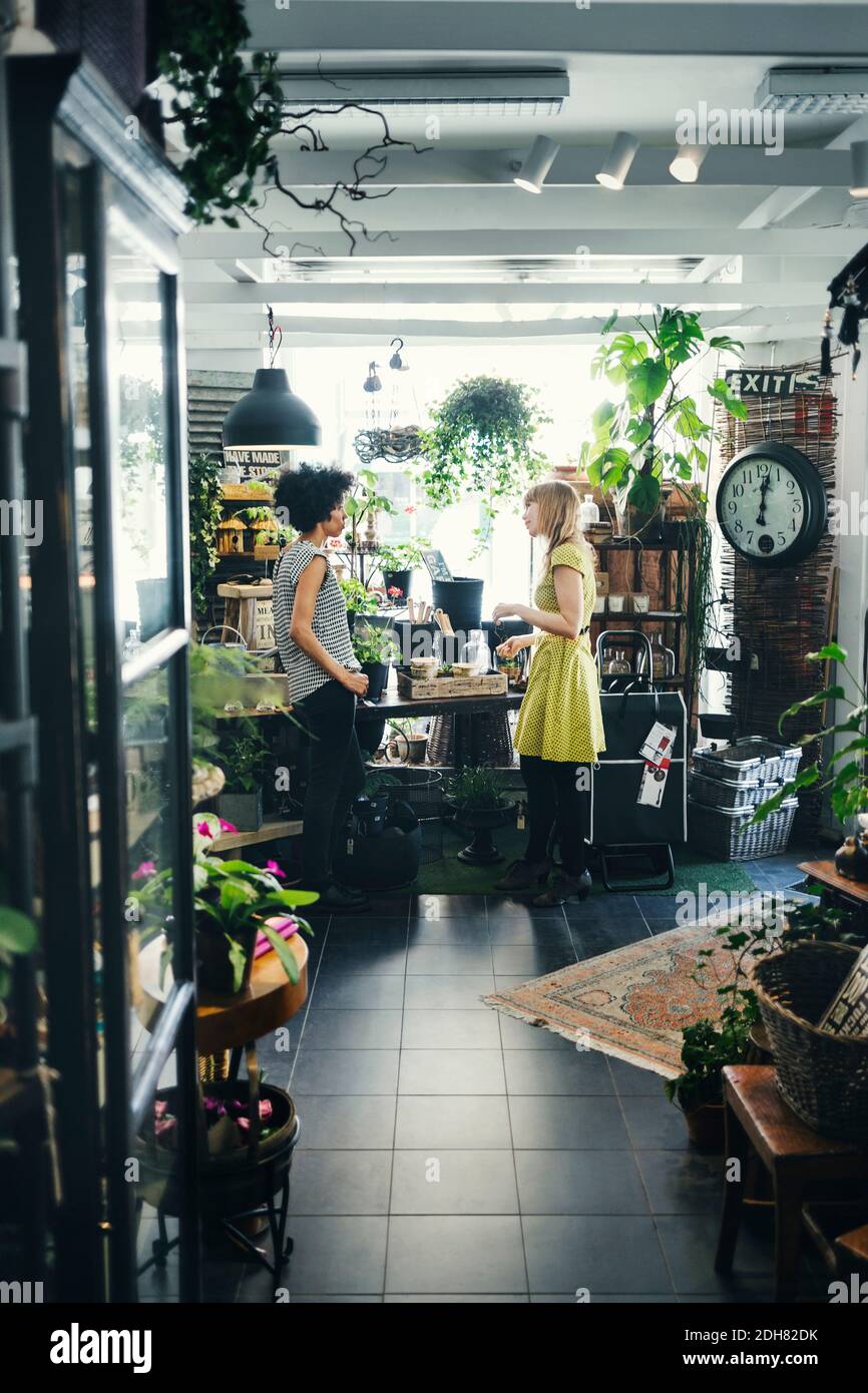 Femmes travaillant dans un atelier de design d'intérieur Banque D'Images