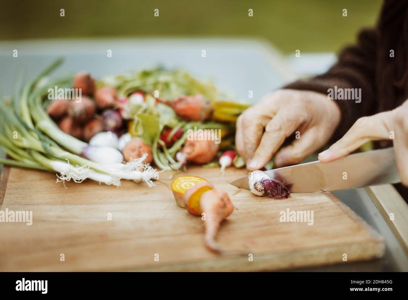 Les mains de l'homme âgé coupé l'oignon de printemps fraîchement récolté à la table Banque D'Images
