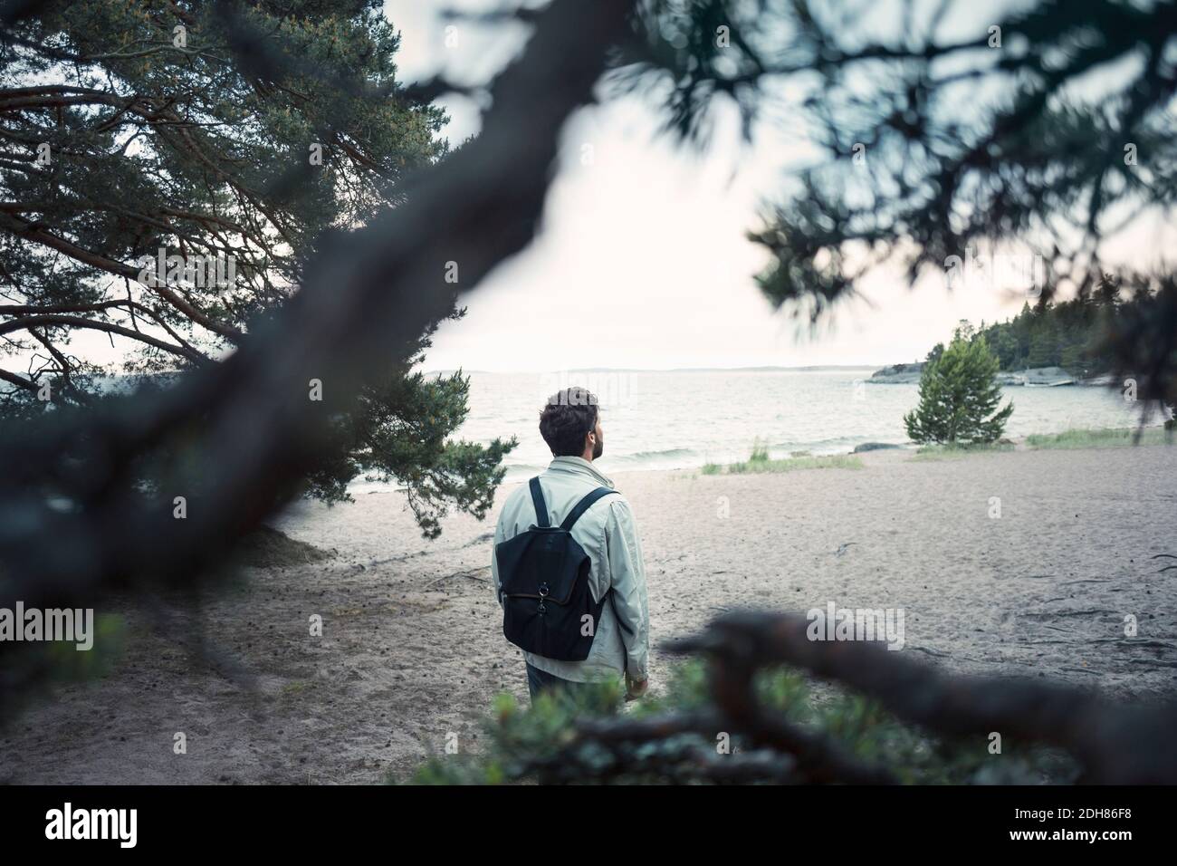 Vue arrière du magnifique homme debout sur le bord du lac Banque D'Images