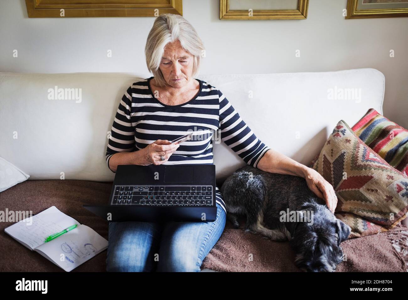 Femme âgée utilisant une carte de crédit et un ordinateur portable tout en faisant un chien de chasse sur le canapé Banque D'Images
